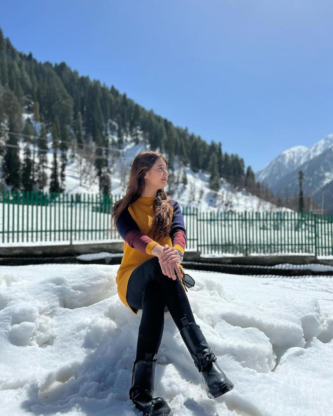 Srinagar Group Of Hotels المظهر الخارجي الصورة